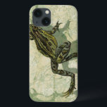 Toad Swinning na água<br><div class="desc">O Vision Studio está usando a técnica do giclée (francês para "spray") nesta peça de arte. Ela o torna único e os diferentes tons de verde enfatizam a pacificação desta imagem. Escolha este trabalho de arte para o seu próximo produto Zazzle.</div>