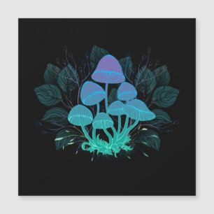 Toadstools em arbustos