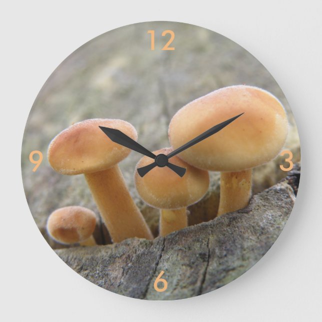 Toadstools em um relógio de parede do tronco de ár (Frente)