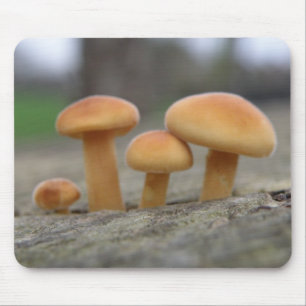 Toadstools Macro Mousepad