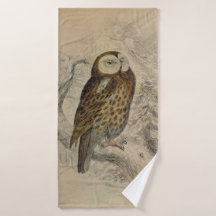 Antique Tawny Owl Impressão