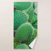 Cactus, cacto de pera picante, espinhos de cacto,