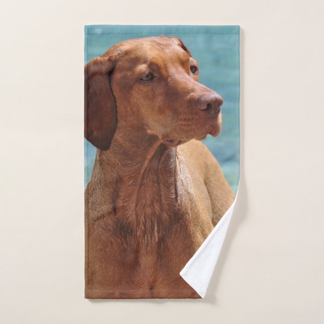 Toalha De Mão Cão Magyar Vizsla (Toalha de mão)