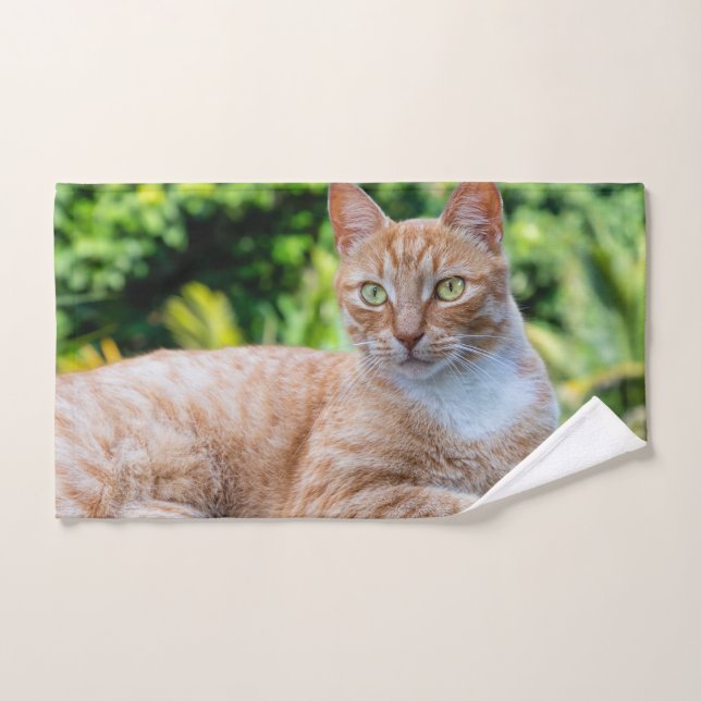 Toalha De Mão Doce gatinho (Toalha de mão)