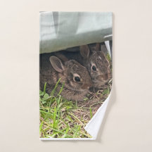 Formas de nascer novas e adoráveis