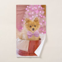 Fotografia de Natal de Cachorro Fofo com Laço Rosa