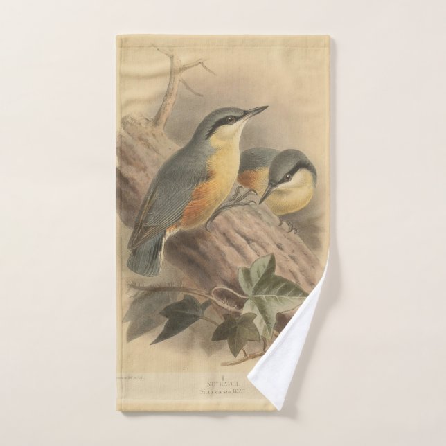 Toalha De Mão Ilustração Vintage de Nuthatch (Toalha de mão)