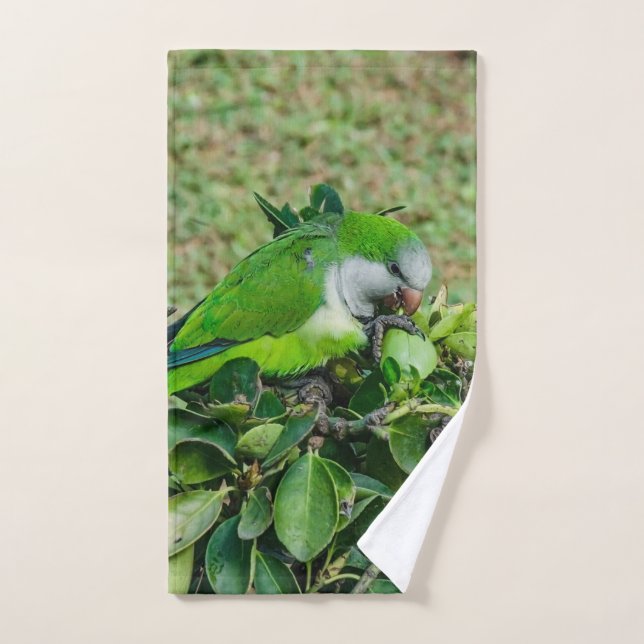 Toalha De Mão Papagaio verde (Toalha de mão)