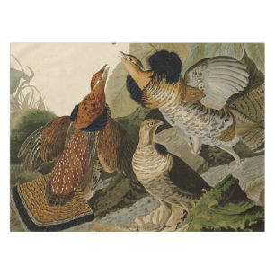 Toalha De Mesa A pintura de Audubon de um trio do galo silvestre