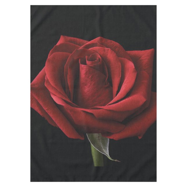 Toalha De Mesa Almofada de lançamento de rosa vermelha (Frente)