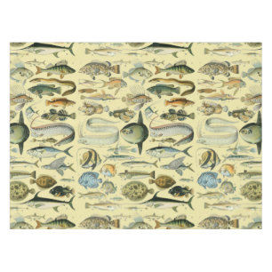Toalha De Mesa Arte De Pesca Científica Dos Peixes Vintage