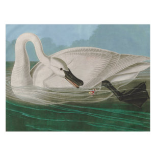 Toalha De Mesa Aves do Cisne da América - Impressão de Audubon