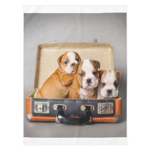 Toalha De Mesa Belo Bulldog Puppies Pão-Cão