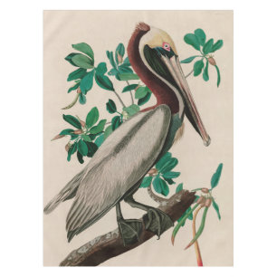 Toalha De Mesa Brown Pelican Birds of America Audubon Impressão