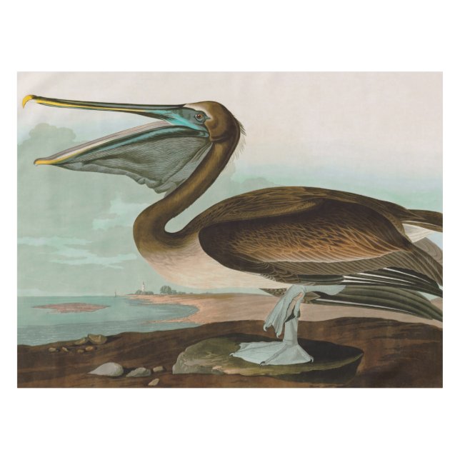 Toalha De Mesa Brown Pelican Birds of America Audubon Impressão (Frente (Horizontal))