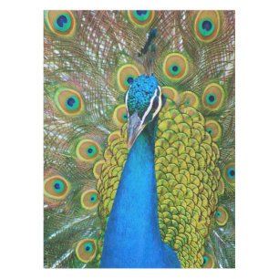 Toalha De Mesa Cabeça Azul de Peacock com Penas Coloridas das Cau