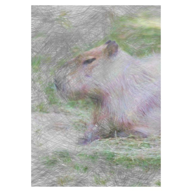 Toalha De Mesa capybara artística (Frente)