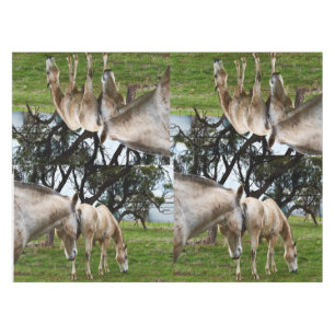 Toalha De Mesa Cavalos Brancos De Mama