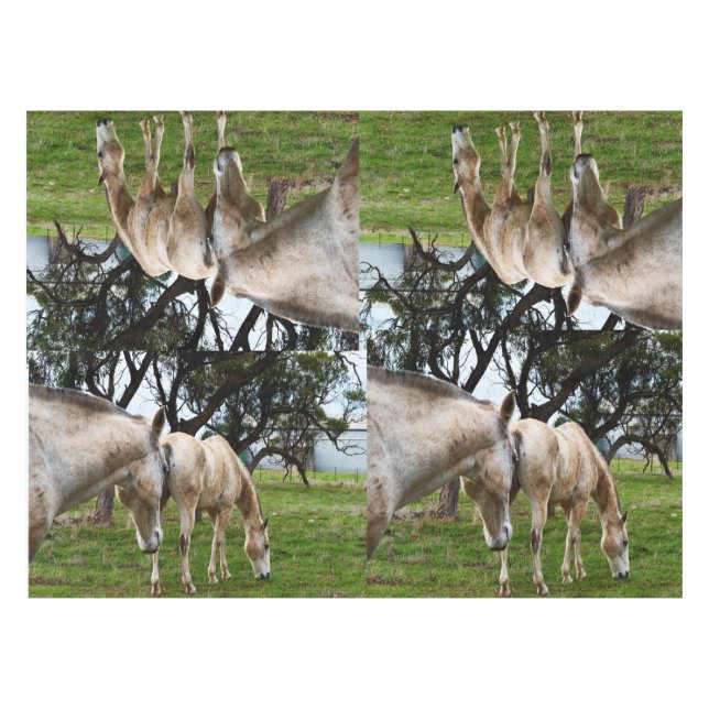 Toalha De Mesa Cavalos Brancos De Mama (Frente (Horizontal))