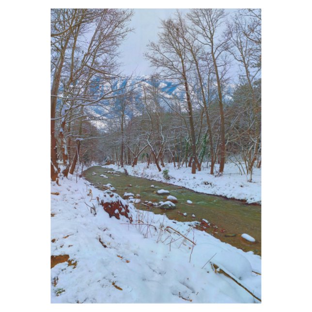 Toalha De Mesa Cena de inverno da Montanha das Árvores Neves (Frente)