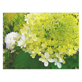 Toalha De Mesa Chartreuse Green, Limelight Hydrangea,