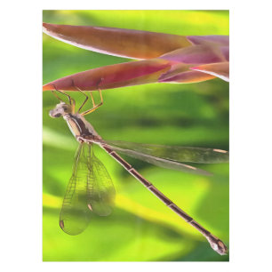 Toalha De Mesa Damselfly Equilibrada Na Cabeça Da Flor