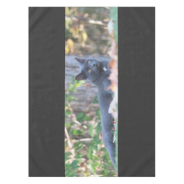 Toalha De Mesa Decoração inicial