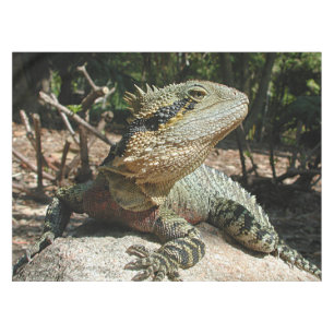 Toalha De Mesa Dragão de água australiano