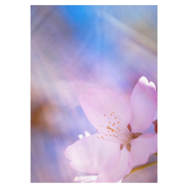 Toalha De Mesa Flor rosa de cereja (Frente)