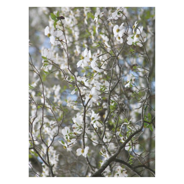 Toalha De Mesa Flores da flor branca de árvore de Dogwood (Frente)