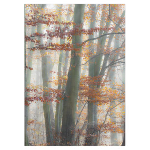 Toalha De Mesa Floresta Mística de Foggy no outono