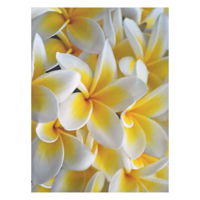 Toalha De Mesa Frangipani Plumeria flores casamento (Frente)