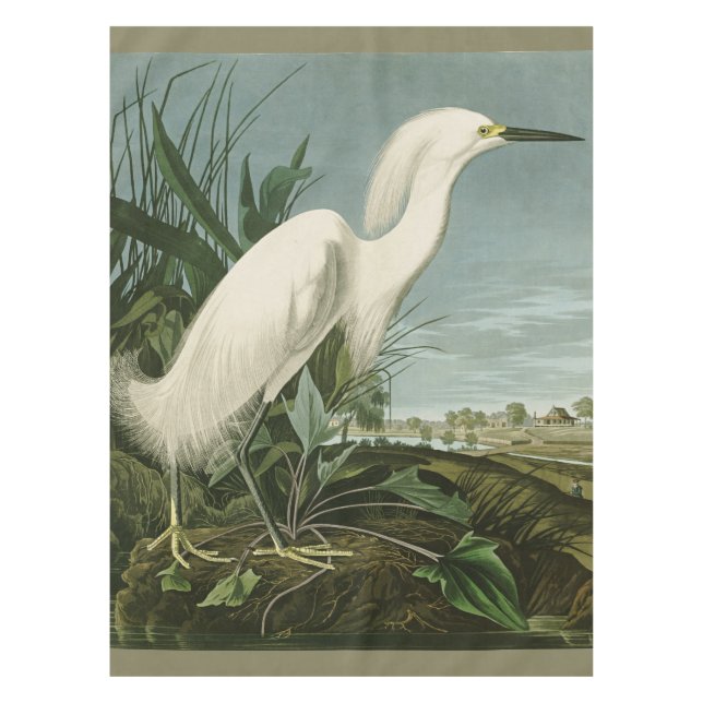 Toalha De Mesa Garça Branca de Audubon Ave de Observação de Aves (Frente)