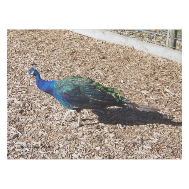 Toalha De Mesa Indian Blue Peafowl tablecloth (Frente (Horizontal))