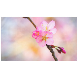 Toalha De Mesa Linda Sakura Cherry Blossoms