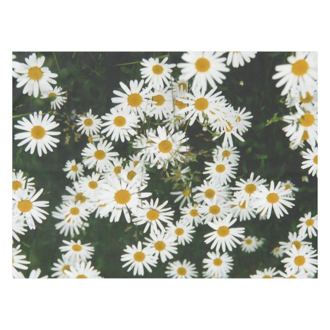 Toalha De Mesa Margarida Branca de Oxeye, Moon Daisy Meadow (Frente (Horizontal))