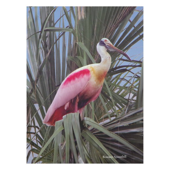 Toalha De Mesa mesa de Roseate Spoonbill (Frente)