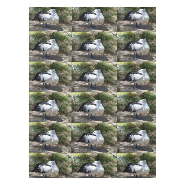 Toalha De Mesa Pelican Siesta Time, (Frente)