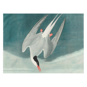 Toalha De Mesa Pintura de aves selvagens do Ártico Tern Audubon