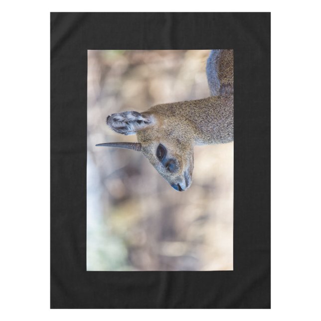 Toalha De Mesa Retrato do Klipspringer (Frente)