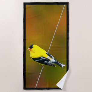 Toalha De Praia American Goldfinch - Fotografia original