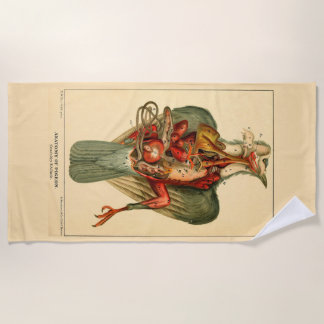 Toalha De Praia Anatomia de um Pombo