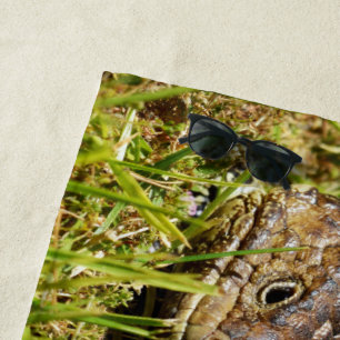 Toalha De Praia Armored Ambler: O Stroll Secreto do Shingleback,