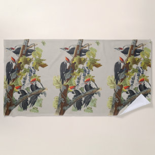 Toalha De Praia Arte de Pássaro Pica-Pau-Grande Audubon Vintage