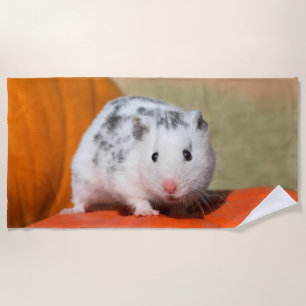 Toalha De Praia Belo Hamster Sírio, Negro Encarado Engraçado