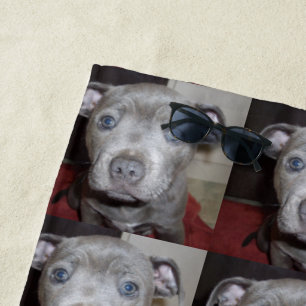 Toalha De Praia Blue Staffordshire Terrier Puppy, Beach Towel