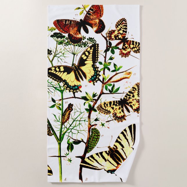 Toalha De Praia Borboletas Francesas (Frente)