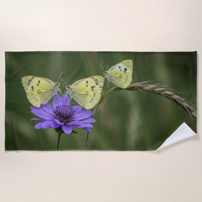 Toalha De Praia borboletas na primavera (Frente)