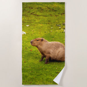 Toalha De Praia Capivara