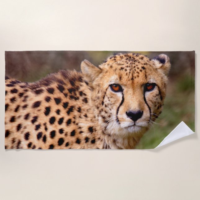 Toalha De Praia Cheetah Beach Towel (Frente)